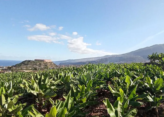 Parque La Luz Appartamento La Orotava